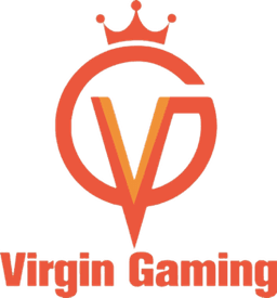 Virgin Gaming(dota2)