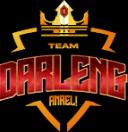 Team Darleng 3.0 (dota2)
