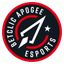 Betclic Apogee Esports (fifa)