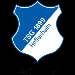TSG Hoffenheim(fifa)