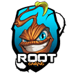 ROOT Gaming(hearthstone)