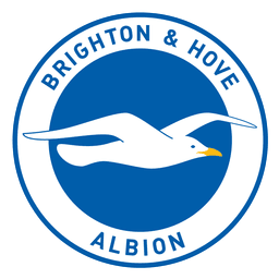 Brighton & Hove Albion FC(fifa)