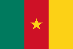 Cameroon(dota2)