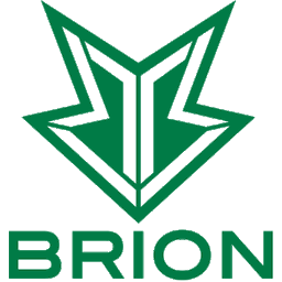 Brion Esports Academy(lol)