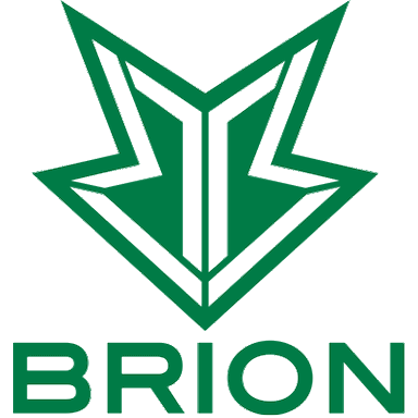 Brion Esports Academy