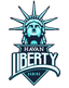 Havan Liberty Gaming