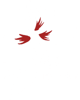Team 815(overwatch)