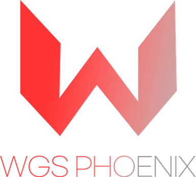World Game Star Phoenix