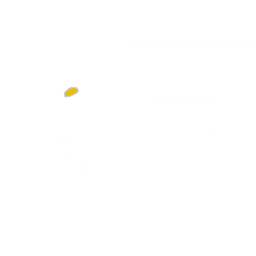 Fisher Falcons(rocketleague)