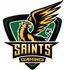 St. Clair Saints Gold (rocketleague)