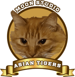 Moon Studio Asian Tigers