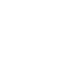 Prime League Summer 2020