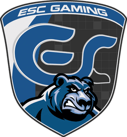 ESC Gaming(valorant)