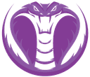 Purple Cobras (valorant)