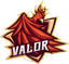 Team Valor