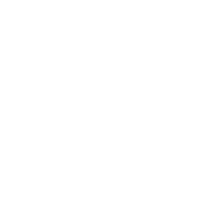 Grayfox Esports(valorant)